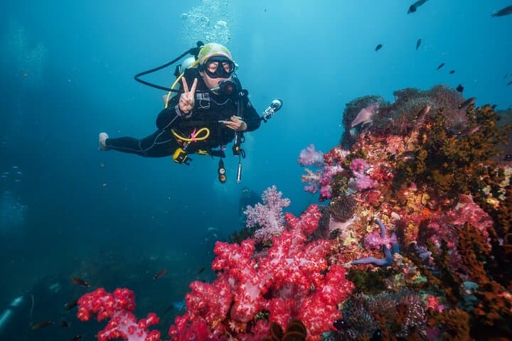 Similan Islands 2-Day Scuba Liveaboard from Khao Lak — Night Dive & Sail Rock Viewpoint photo 3
