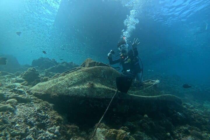 Mactan Beach-Entry Scuba Diving — Turtles, Sardines & Beginner-Friendly Dives photo 6