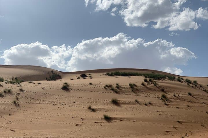 Wadi Bani Khalid & Wahiba Sands: 2-Day Oasis-to-Desert Overnight from Muscat photo 2