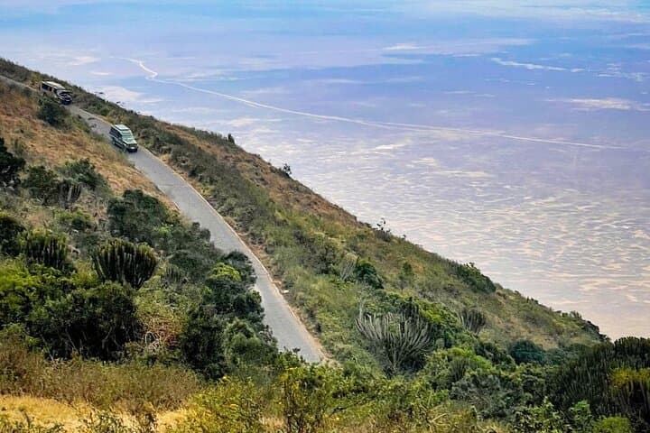 Ngorongoro Crater Private Day Safari — Big Five Game Drive from Arusha photo 2