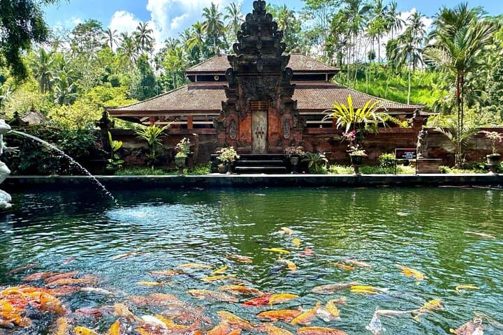 Ubud Tegalalang Private Car Tour: Rice Terraces, Water Temples & Waterfalls in One Day photo 6