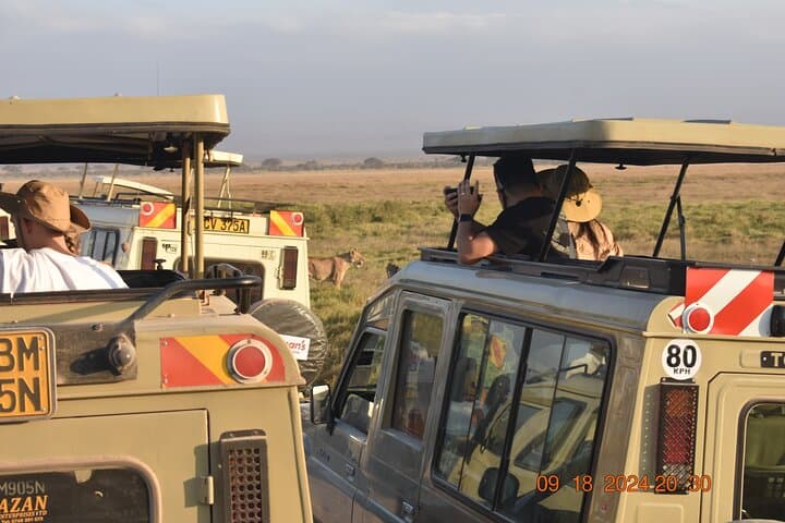 Private 5-Day Masai Mara & Lake Nakuru Safari — Peak Season Wildlife, Culture & Lodges photo 1