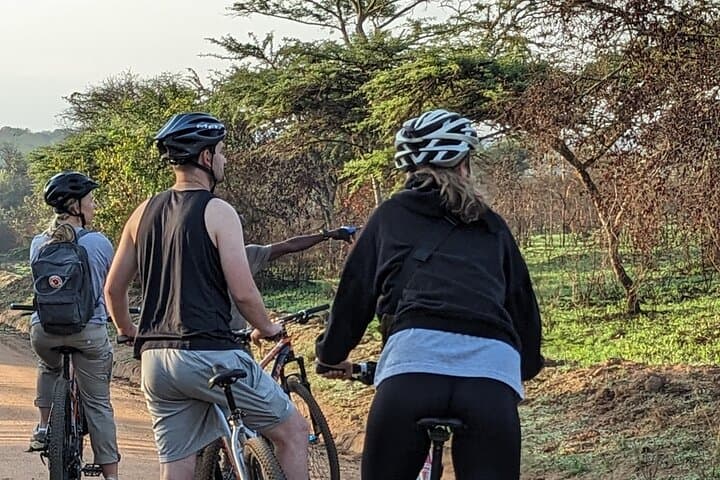 Private Lake Mburo Safari: 3-Day Wildlife & Community Experience from Kampala photo 2