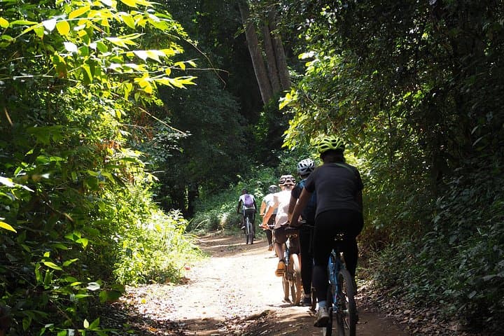 Rau Forest Bike Tour: Cycle Rice Fields, Colobus Monkeys & Kilimanjaro Views