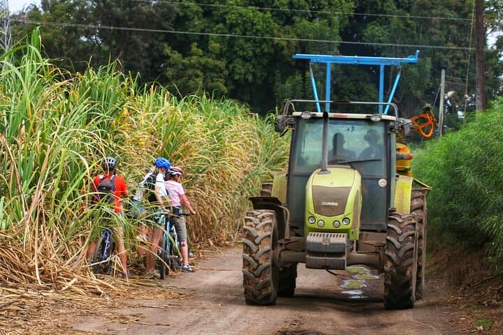 Rau Forest Bike Tour: Cycle Rice Fields, Colobus Monkeys & Kilimanjaro Views photo 6