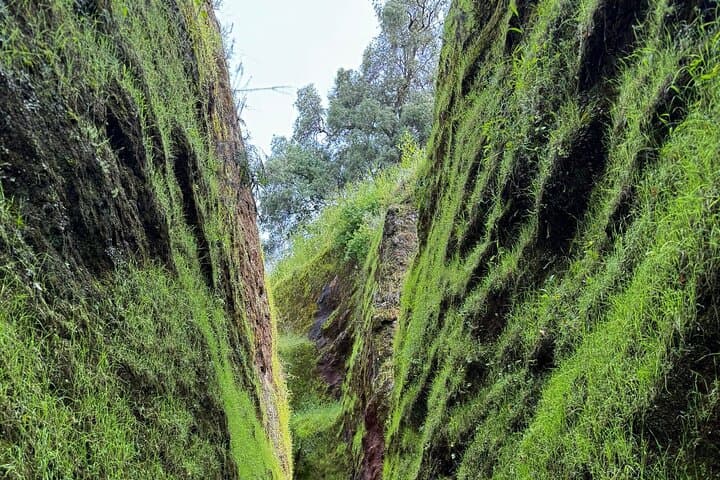 Inside Lalibela's Rock-Hewn Churches: Private Guided Tour & Community Visit photo 3