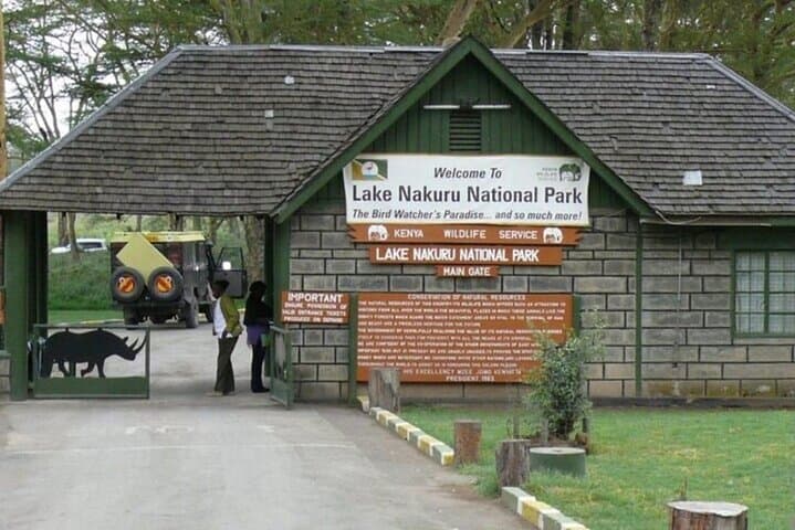 Lake Nakuru National Park Day Trip from Nairobi: Flamingos, Rhinos & Rift Valley Views photo 3