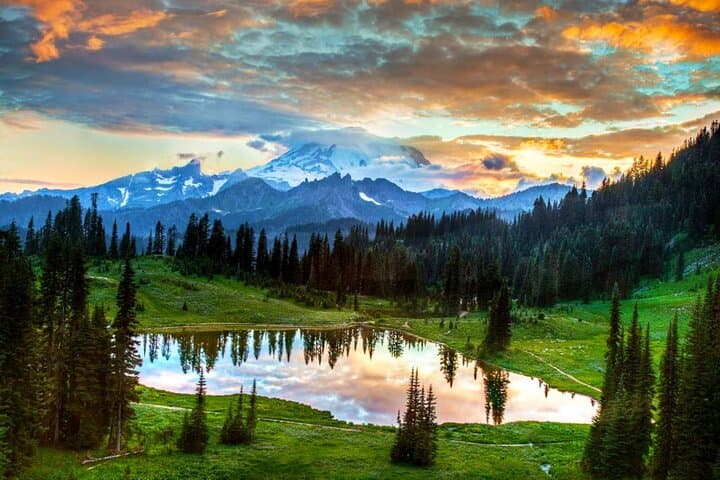 One-Day Mt. Rainier from Seattle: Paradise Meadows, Narada Falls & Longmire photo 3