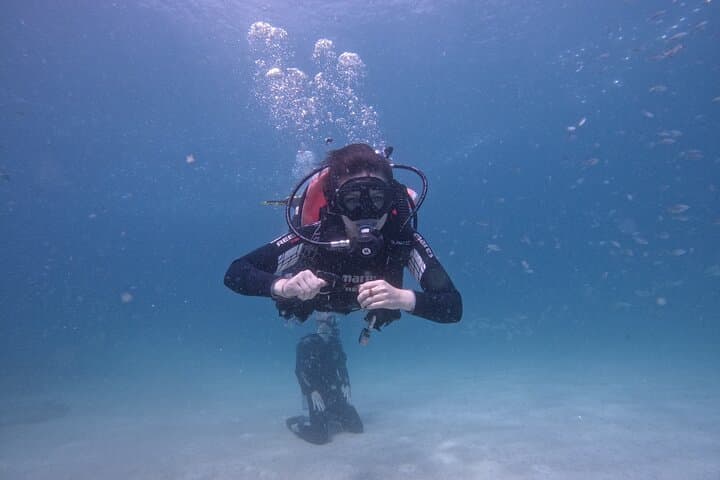 Abu Dhabi PADI Open Water Diver Course: Learn to Dive in the Arabian Gulf