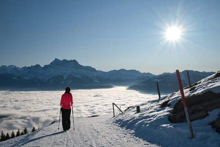 Snowshoe Hiking Day Trip to Glaubenberg-Langis from Lucerne