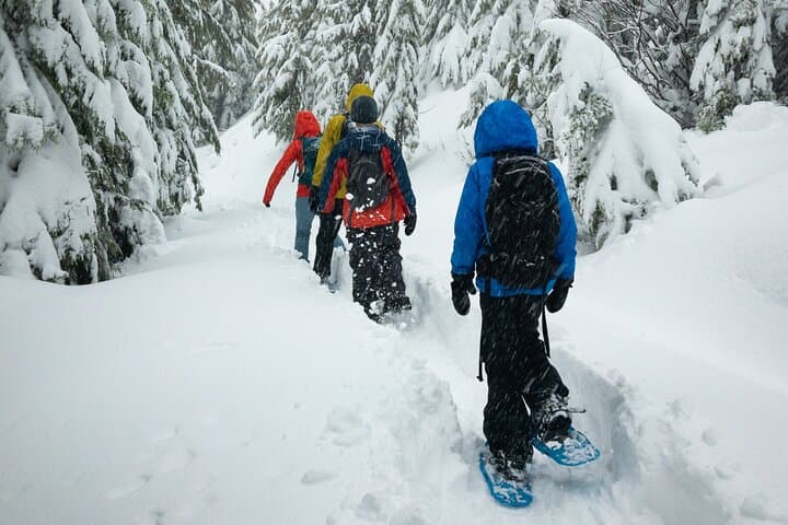 Snowshoe Hiking Day Trip to Glaubenberg-Langis from Lucerne photo 2