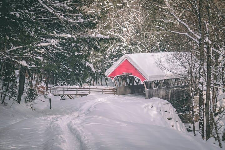 Snowshoe Hiking Day Trip to Glaubenberg-Langis from Lucerne photo 3