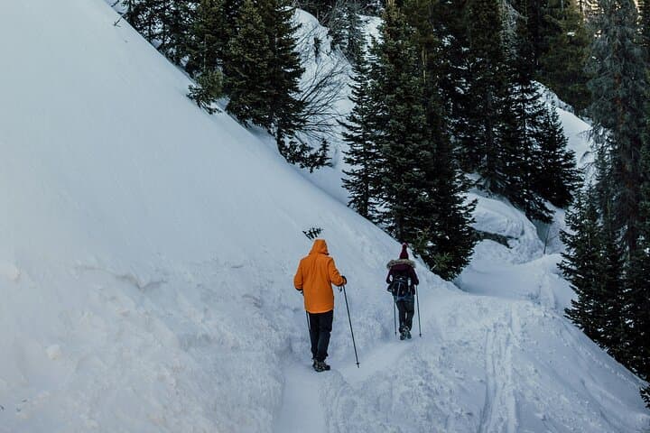 Snowshoe Hiking Day Trip to Glaubenberg-Langis from Lucerne photo 4