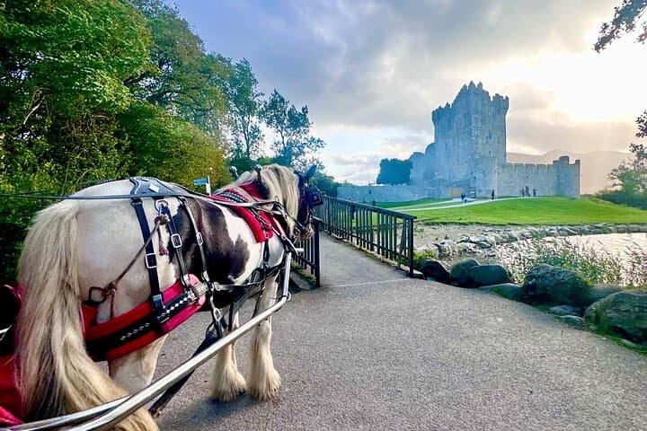 Exploring Killarney National Park by Jaunting Car: A Scenic One-Hour Ride photo 4