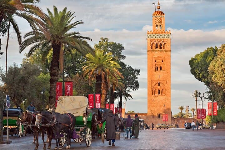 Full-Day Private Marrakech Excursion from Casablanca — Souks, Palaces & Camel Ride