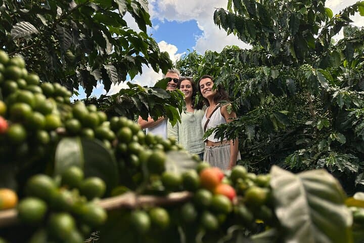 Medellín Coffee & Flower Farm Tour — Coffee Tasting and Silleta Workshop photo 2