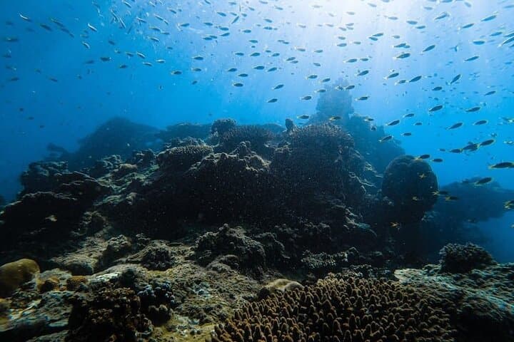 Phi Phi & Maya Bay Speedboat Day Trip from Krabi — Snorkel, Beaches & Lunch photo 5