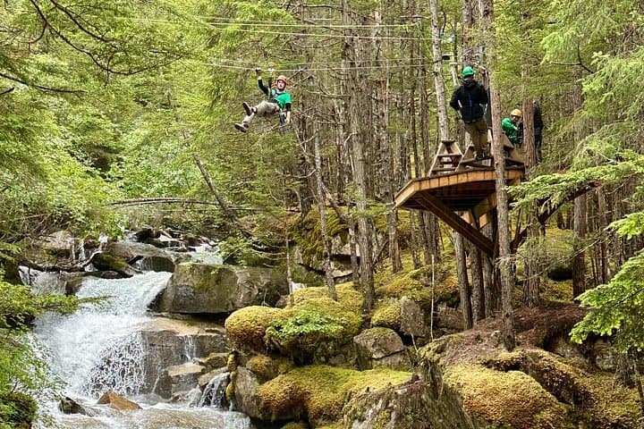 Skagway Grizzly Falls Ziplining Expedition: Fly Over Waterfalls in the Tongass photo 1