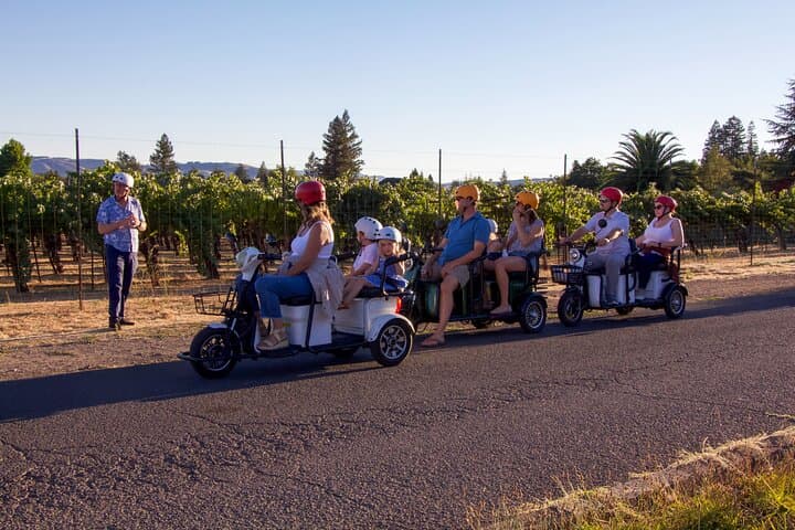 Sonoma Electric Trike Wine Tour — 3-Hour Guided Vineyard Ride photo 4