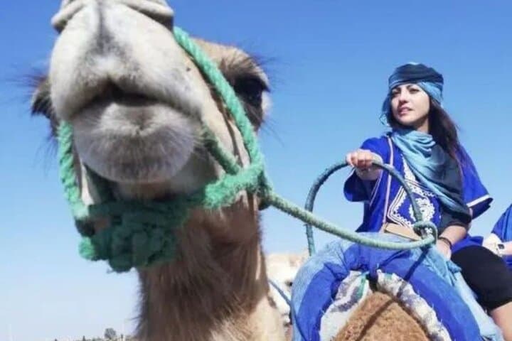 Atlas Mountains Day Trip: 3 Valleys, Waterfalls & Camel Ride from Marrakech photo 2