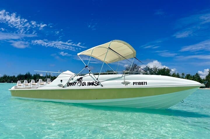 Bora Bora Lagoon: Jet-Boat Snorkel & Motu Barbecue photo 3