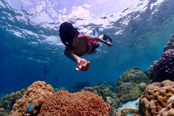 Khao Lak to Similan Islands: Lazy Snorkeling Speedboat Day Trip photo 4