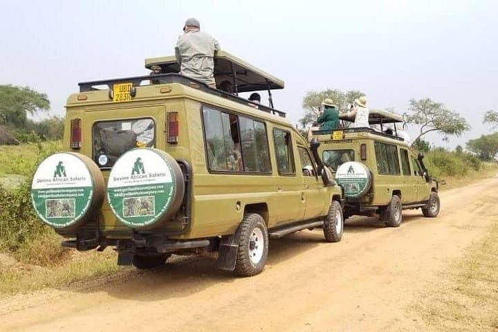 One-Day Akagera National Park Big Cats Safari from Kigali photo 2