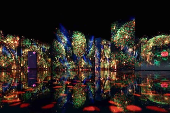 Experience Eternal Nature: ARTE Museum Dubai Immersive Media Art photo 3
