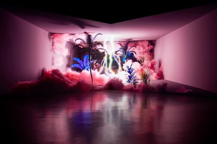 Experience Eternal Nature: ARTE Museum Dubai Immersive Media Art photo 4