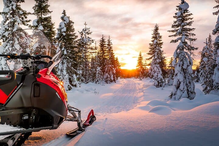 Rovaniemi Snowmobile Tours: 3-Hour Arctic Ride Across Lapland