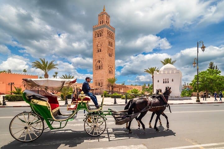 Casablanca to Marrakech Day Trip with Camel Ride in the Palmeraie photo 6