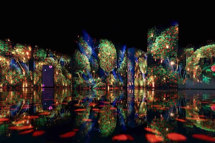 ARTE Museum Dubai: Immersive 'Eternal Nature' Media Art Experience photo 2