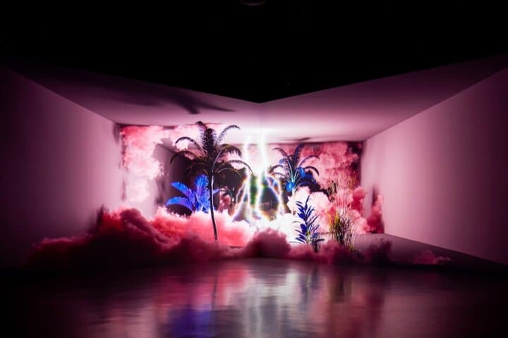 ARTE Museum Dubai: Immersive 'Eternal Nature' Media Art Experience photo 4