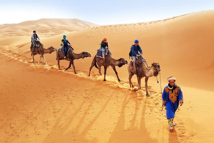 Douz Camel Ride — Sahara Desert Trek from 40 Minutes to 3 Hours photo 3