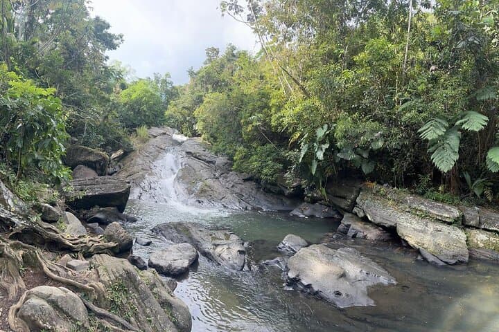 El Yunque Rainforest & Luquillo Beach: Natural Waterslide, Waterfall Jump & Local Food photo 2