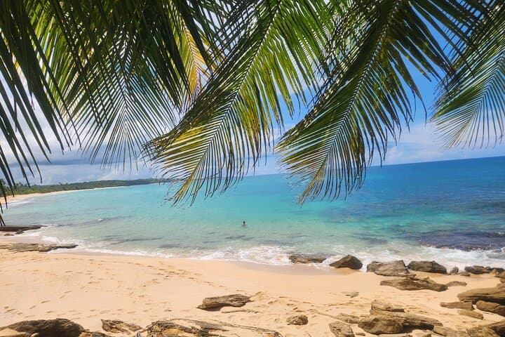 El Yunque Rainforest & Luquillo Beach: Natural Waterslide, Waterfall Jump & Local Food photo 5