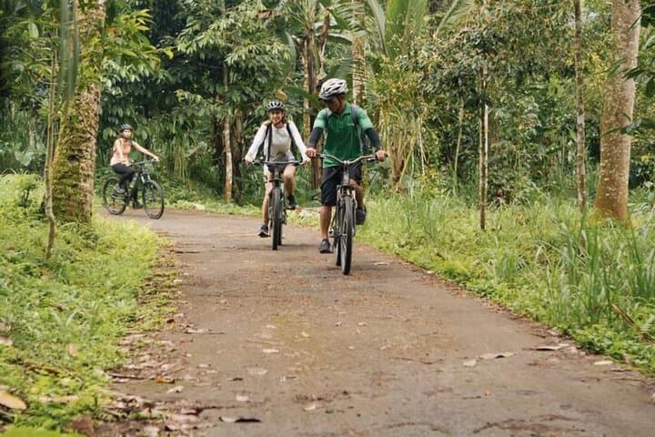 Downhill from Kintamani to Ubud: 20km Countryside Bike Tour with Lunch