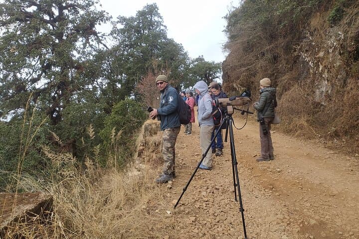 Kathmandu Valley Birding Hike: Day Birdwatching Tour in Nagarjun & Shivapuri photo 2