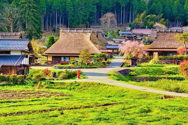 Amanohashidate, Ine Funaya & Miyama Thatched-House Day Tour from Osaka