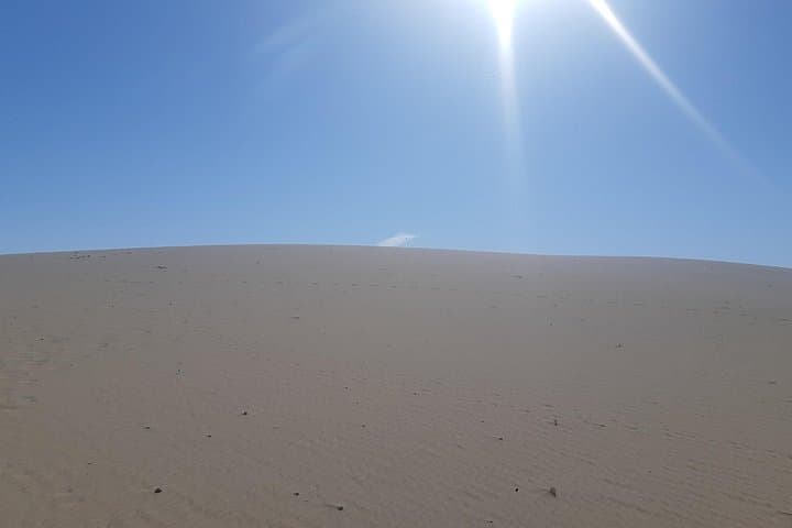 Majestic Gobi Safari: 5-Day Khongor, Bayanzag & Yol Valley Expedition photo 2