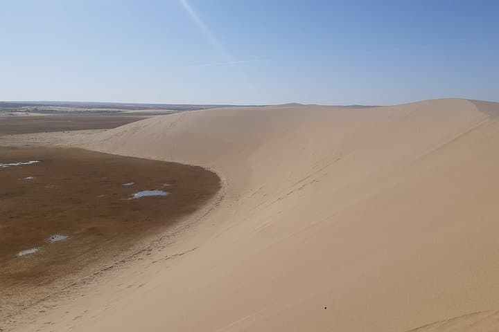 Majestic Gobi Safari: 5-Day Khongor, Bayanzag & Yol Valley Expedition photo 4