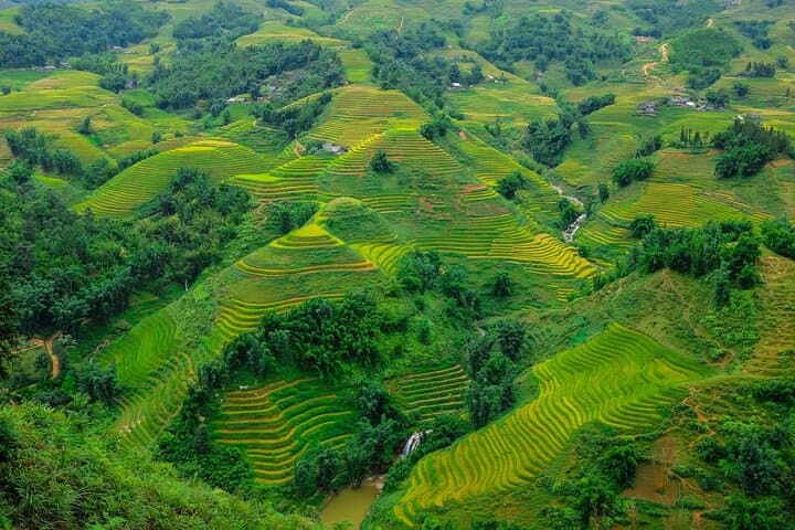 Trek Sapa’s Muong Hoa Valley: Lao Chai to Ta Van Rice Terrace Hike photo 3