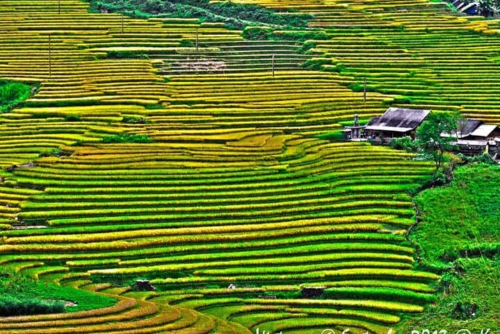 Trek Sapa’s Muong Hoa Valley: Lao Chai to Ta Van Rice Terrace Hike photo 5