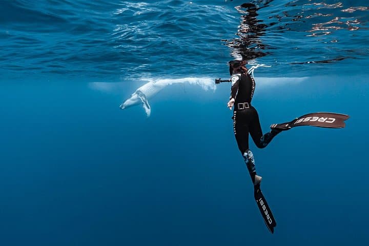 Private whale watching and snorkeling tour in Moorea — private boat with water guide photo 1