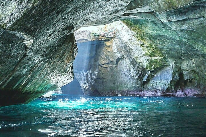 Explore West Izu: Sea Caves, Waterfalls & Monkeys on a Private Full-Day Tour