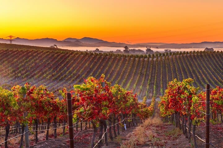 SFO to Napa Valley Private Transfer — Direct Airport Ride to Wineries photo 2