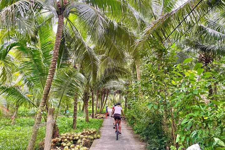 Mekong Delta One-Day Cycling Tour from Ho Chi Minh City photo 2
