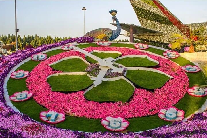 Dubai Miracle Garden & Global Village: Private Transfer to Floral Wonders and Global Pavilions photo 2