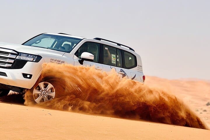 Private Red Dunes Desert Safari with BBQ Dinner & Camel Ride (Dubai) photo 3