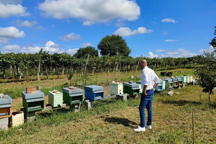 Beekeeping Farm Tour and Honey Tasting in Lazise (Lake Garda) photo 6